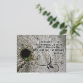 成績証明書の感動的ルーツ ポストカード (スタンド正面)