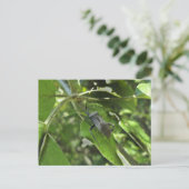 成虫のクロゴキブリトンボ（Reduviid）グッズ ポストカード (スタンド正面)