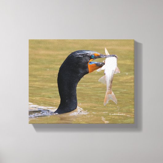 成虫の二重冠の輪郭 キャンバスプリント (正面)