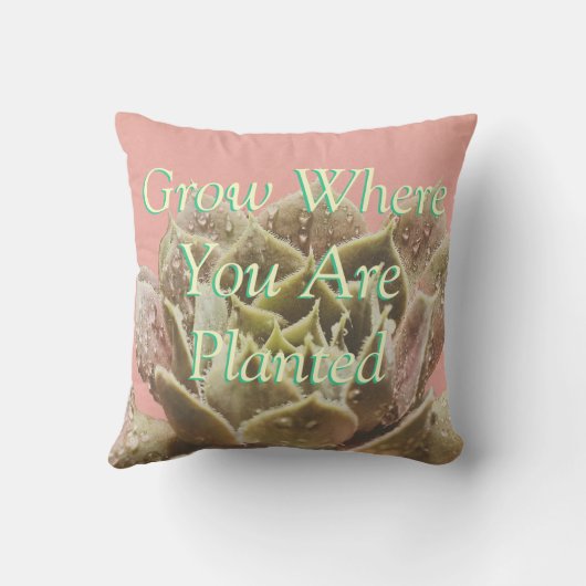 成長あなたが植えられている場所フローラ枕 クッション (裏面)