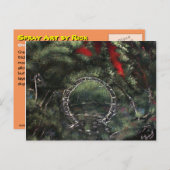 成長しすぎて忘れられた ポストカード (正面/裏面)