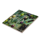 成長するオリーブ タイル (側面)