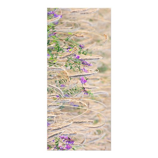 成長するグレーンラックカード ラックカード (正面)