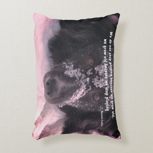 成長する感動的古い引用文縁どコリー アクセントクッション (正面(垂直))