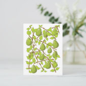 成長する梨 ポストカード (スタンド正面)