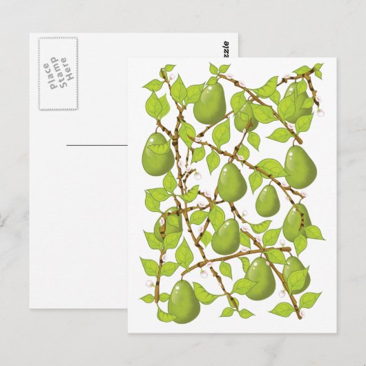 成長する梨 ポストカード (正面/裏面)