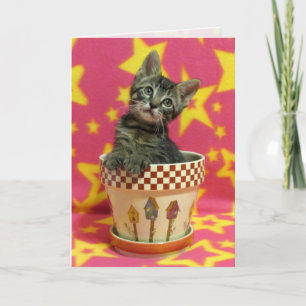 成長する虎猫誕生日カード – Cute Cat Pic カード