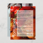 成長に適したガイド：トマト&ニンニク ポストカード (正面/裏面)