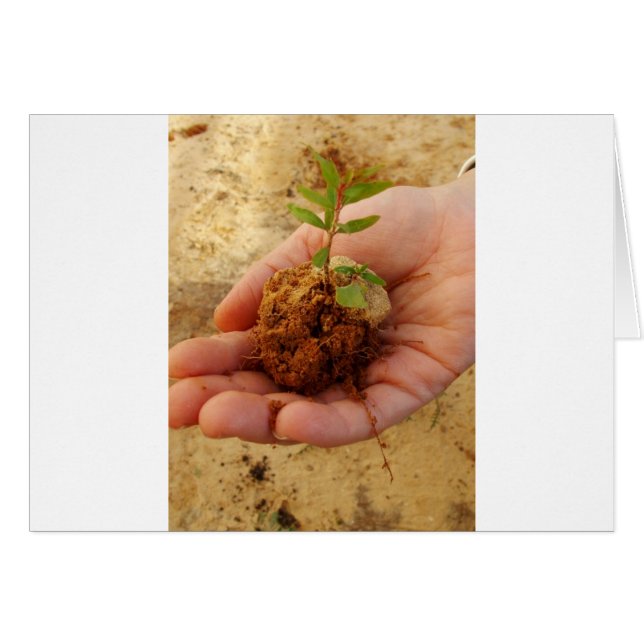 成長のための投資 (正面横)