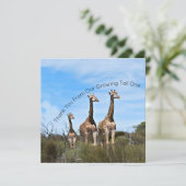 成長を感謝するメッセージ サンキューカード (スタンド正面)