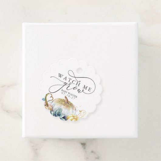 成長を見る – 多肉植物カボチャ赤ちゃんシャワー フェイバータグ (インサイチュ)