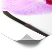成長チャート蘭の花の運命の贈り物 ポスター (角)