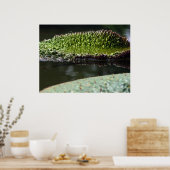 成長パッド ポスター (キッチン)