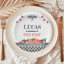 成長2つの高速誕生日紙プレート ペーパープレート
