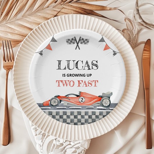 成長2つの高速誕生日紙プレート ペーパープレート