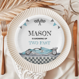 成長2つの高速誕生日紙プレート ペーパープレート