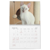 成長，サイアムカレンダー カレンダー (2月 2027)