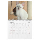 成長，サイアムカレンダー カレンダー (2月 2026)