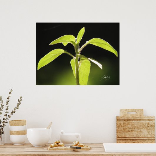 成長 ポスター (キッチン)