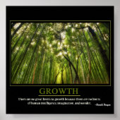 成長 ポスター (正面)