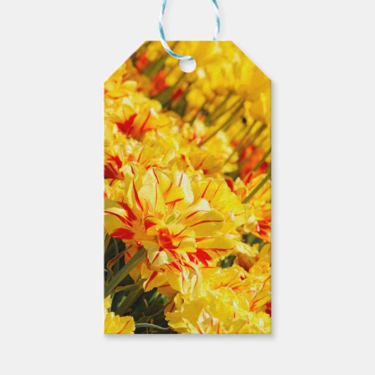 成長，金ゴールド ギフトタグ (正面)