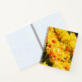 成長，金ゴールド ノートブック (内部)