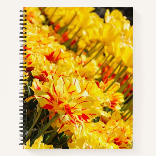 成長，金ゴールド ノートブック (正面)