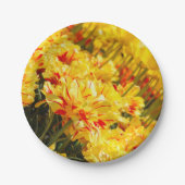 成長，金ゴールド ペーパープレート (正面)