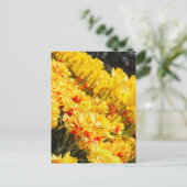 成長，金ゴールド ポストカード (スタンド正面)