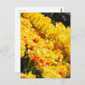 成長，金ゴールド ポストカード (正面/裏面)