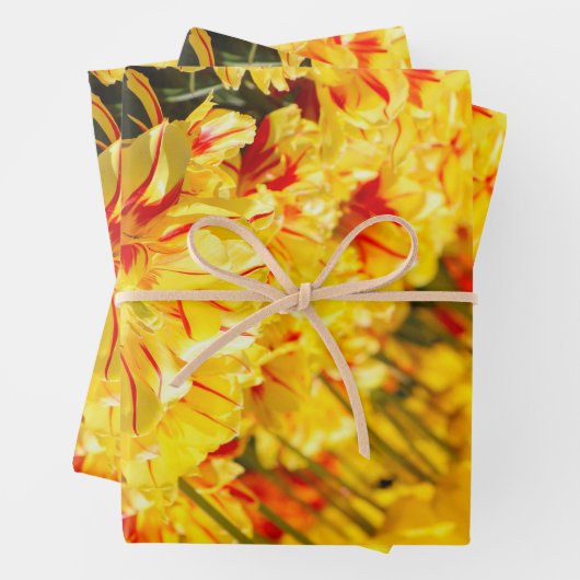 成長，金ゴールド ラッピングペーパーシート (インサイチュ)