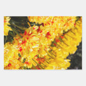 成長，金ゴールド ラッピングペーパーシート (正面)