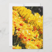 成長,金ゴールド 招待状 (正面)