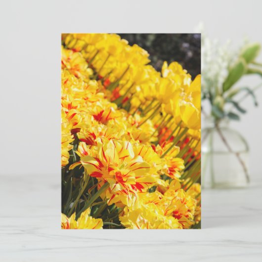 成長，金ゴールド 招待状 (スタンド正面)