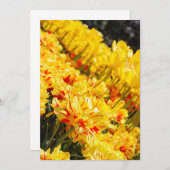 成長,金ゴールド 招待状 (正面/裏面)