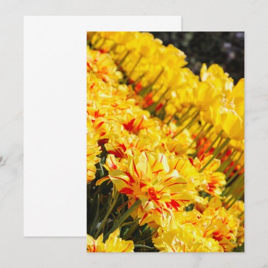 成長,金ゴールド 招待状 (正面/裏面)