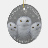 我々おもしろいは、フーットファミリーの雪のフクロウを持つ方法を知っている セラミックオーナメント (左)