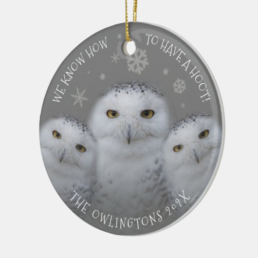 我々おもしろいは、フーットファミリーの雪のフクロウを持つ方法を知っている セラミックオーナメント (左)