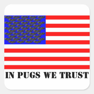 我々が信頼するPUGS内 スクエアシール