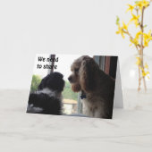 我々が共有する誕生日・アップのウィンドウ カード (黄色い花)