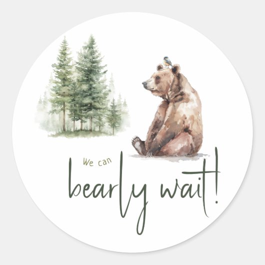 我々が好意を待つことができる森林動物 ラウンドシール (正面)