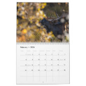 我々が見るクリッター カレンダー (2月 2026)