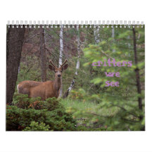 我々が見るクリッター