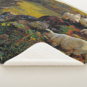 我々のイギリスの沿岸か牧羊のウィリアム・ホルマン シェルパブランケット (3/4)