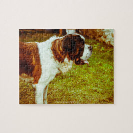 我々のサンベルナルドウァミッズファミリーペット ジグソーパズル