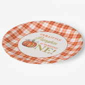 我々のリトルカボチャフローラ赤い格子付き1歳の誕生日 ペーパープレート (アングル)