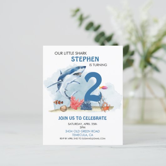 我々のリトルシャーク誕生日エイジ水の色予算 (スタンド正面)