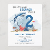 我々のリトルシャーク誕生日エイジ水の色予算 (正面)