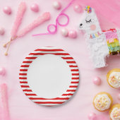 我々のリトルファイクラッカー誕生日 ペーパープレート (パーティー)