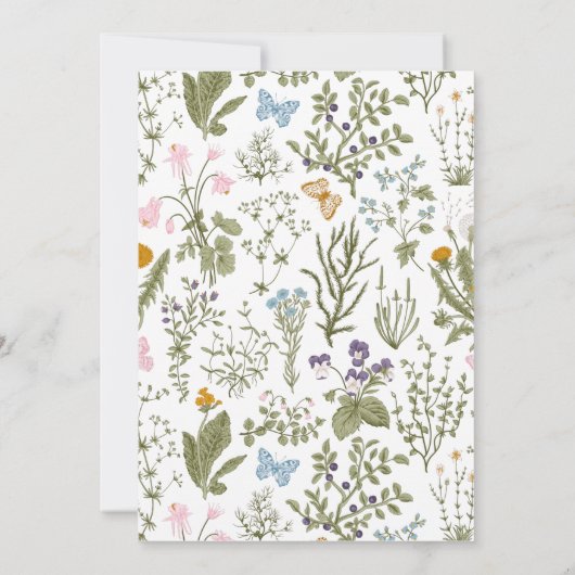 我々のリトルワイルドフラワーファースト誕生日招待状 招待状 (裏面)